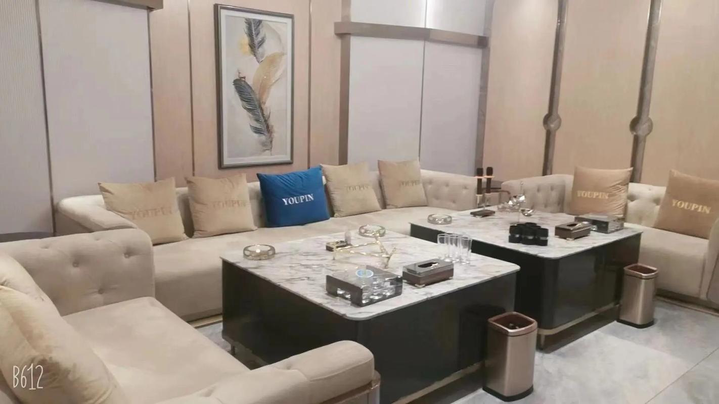 邵阳商务ktv体验-北塔区ktv预定